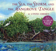 seastormmangrove